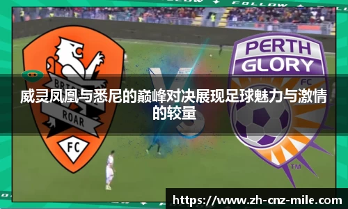 威灵凤凰与悉尼的巅峰对决展现足球魅力与激情的较量